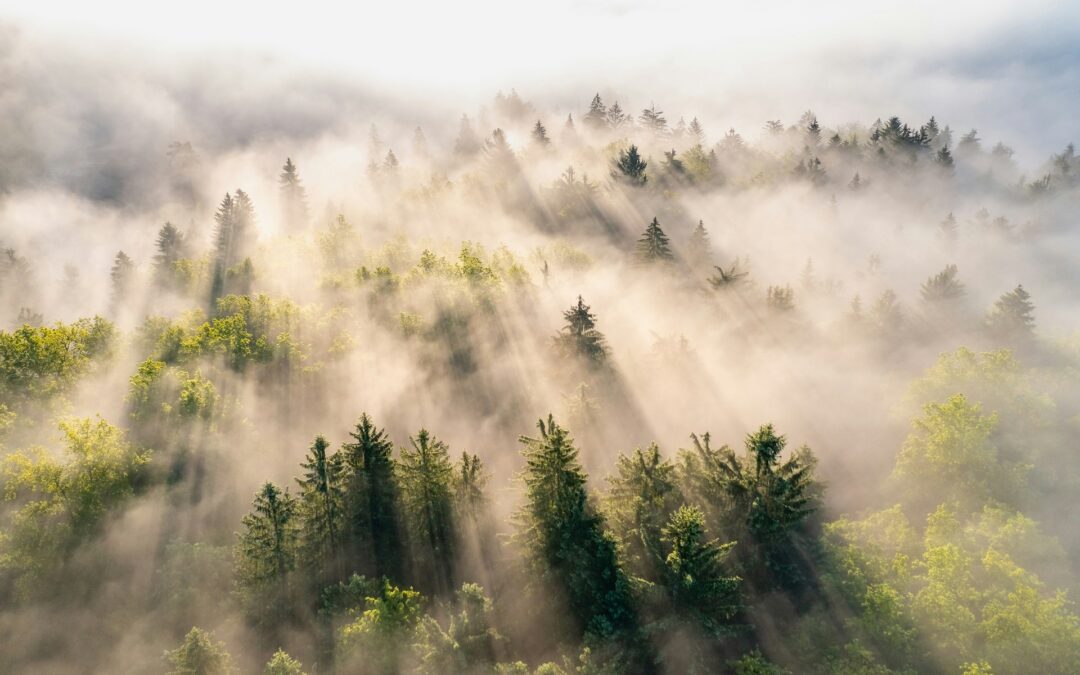 CALL Team Alignment Model